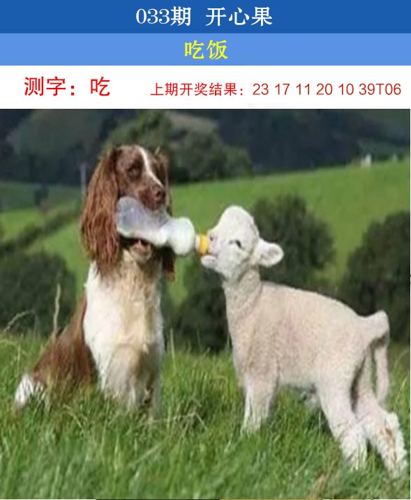 033期开心果[图]