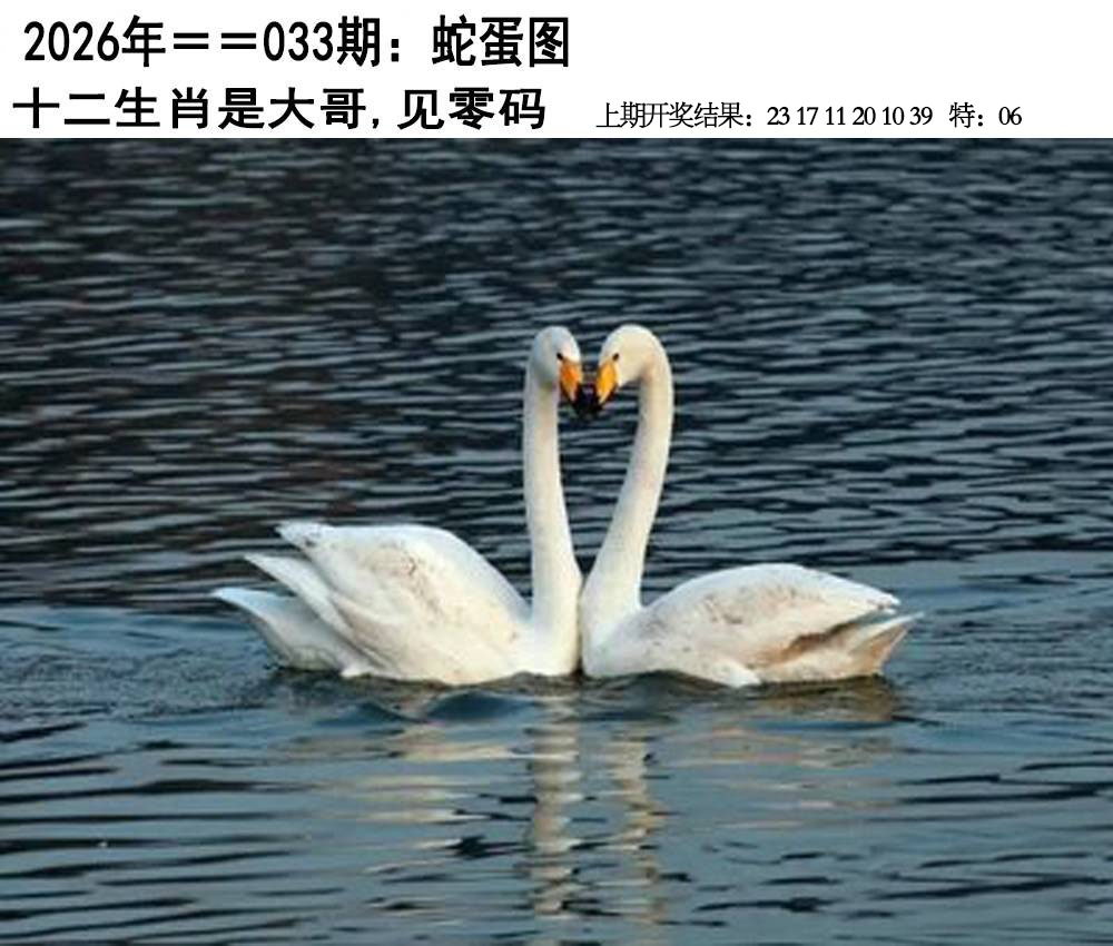 033期另版蛇蛋图[图]