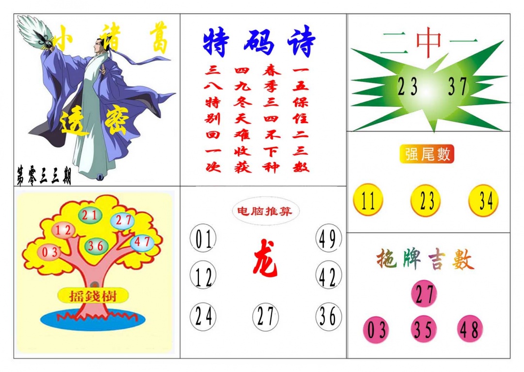 033期小诸葛[图]