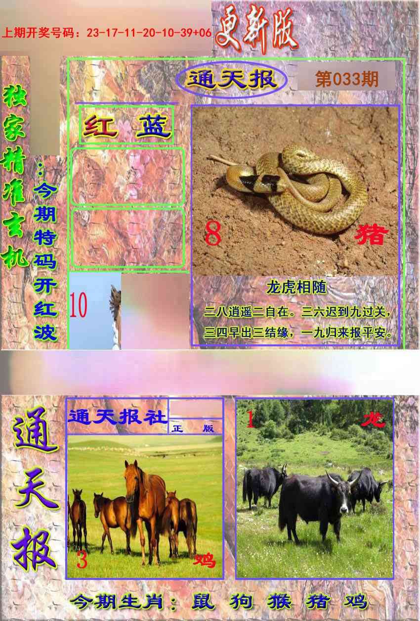 033期新通报[图]