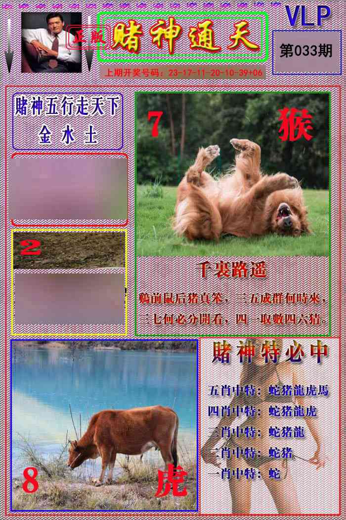 033期赌神通天报[图]
