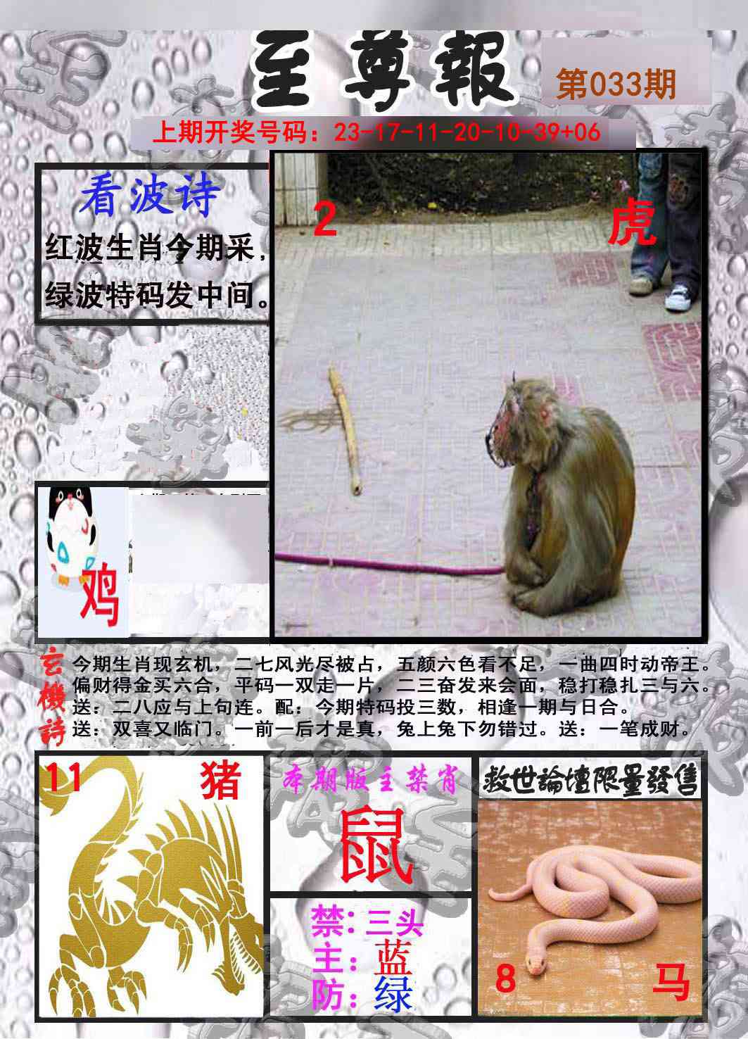 033期至尊报[图]