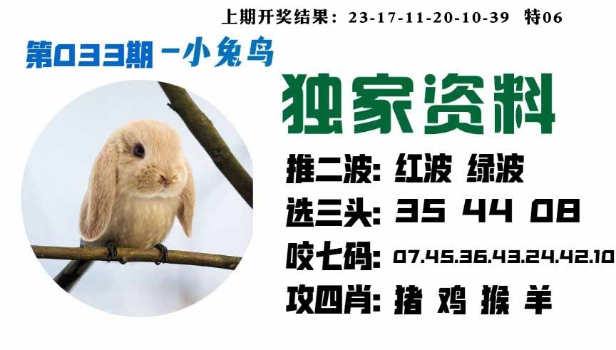 033期小兔鸟[图]